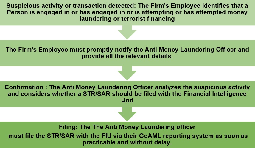 process provides licensed entities with guidance on the STR/SAR submission process